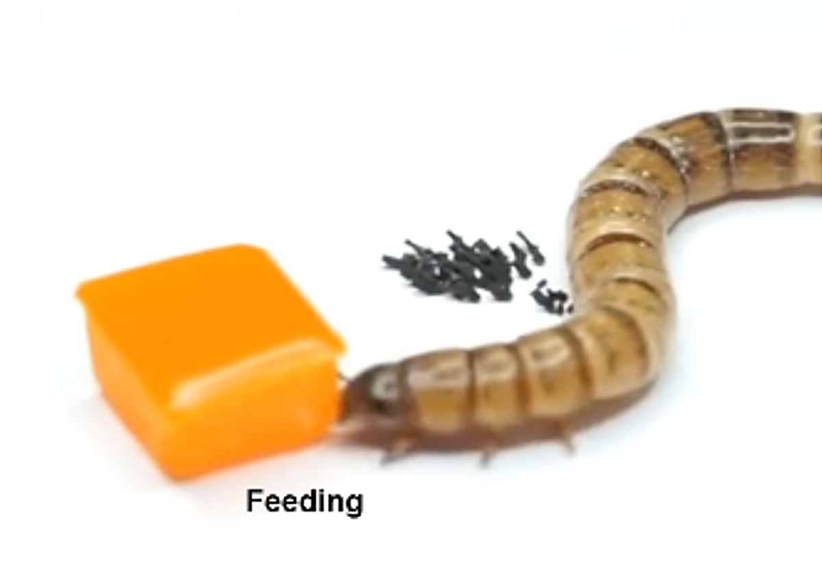 Imagen de robots levantando una estructura