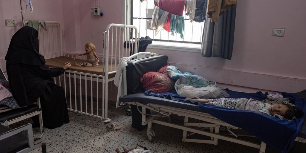Rein Paulsen: «La hambruna en Gaza es una tormenta perfecta de desnutrición, enfermedad y guerra»