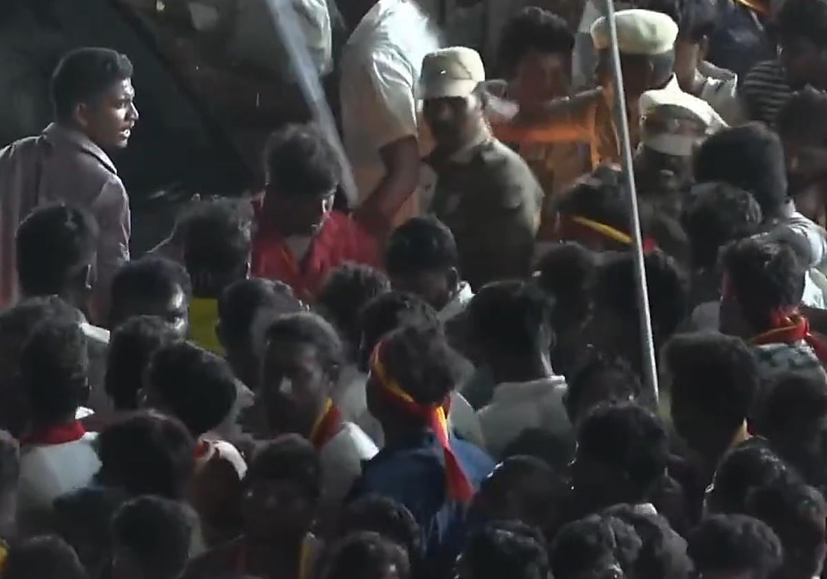 Imágenes de la estampida