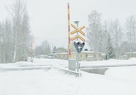 Pantanos, árboles y maleza: Finlandia levanta un muro natural frente a Rusia