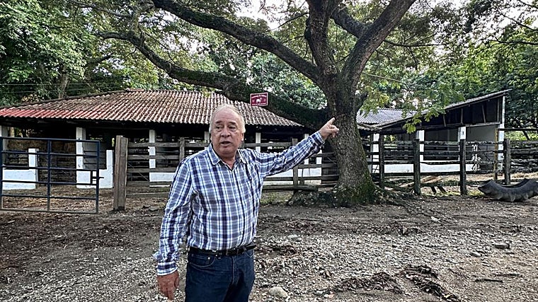 José Luis Albornoz fue testigo y sobrevivió a la tragedia