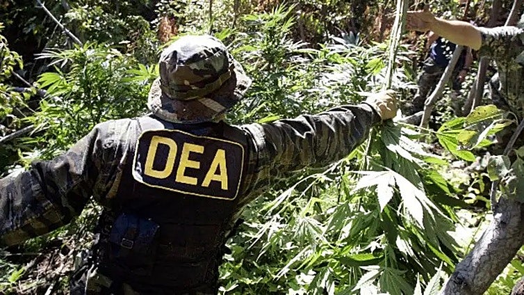 Bolivia reabre la puerta a la DEA para colaborar con Trump en la lucha contra el narcotráfico