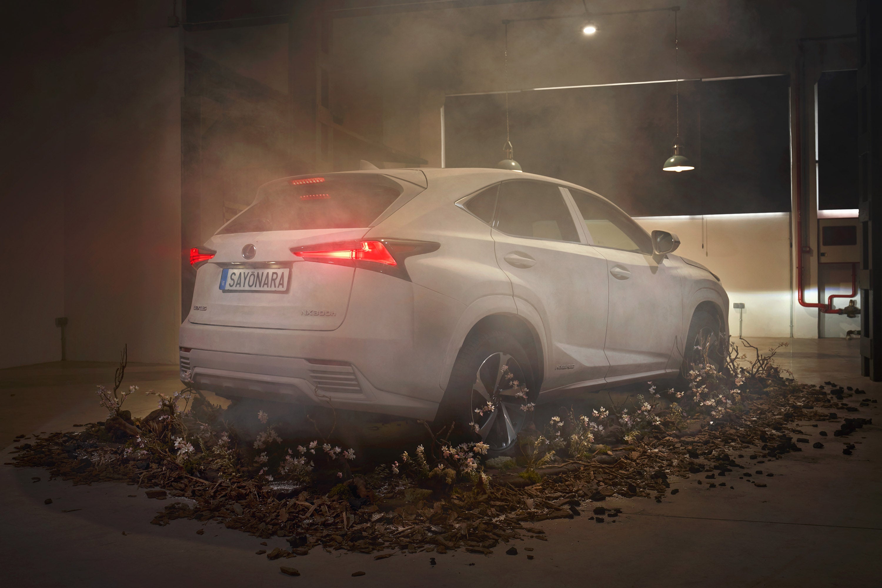 Esta instalación artística proyectada por Pablo Sánchez y Esperanza García se entiende como un todo. El escenario está  formado por el humo, las cenizas, las ramas de cerezo y el Lexus NX