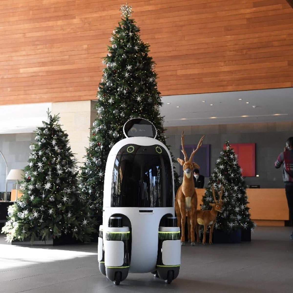 Así son los robots autónomos que llevarán tus compras a casa