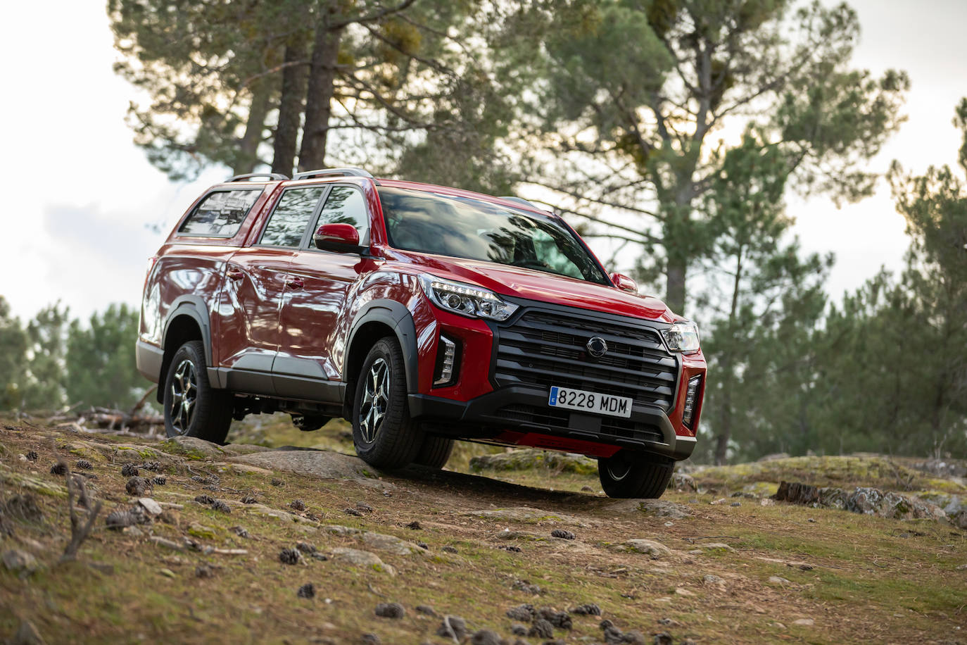 Cambio manual o automático de seis velocidades