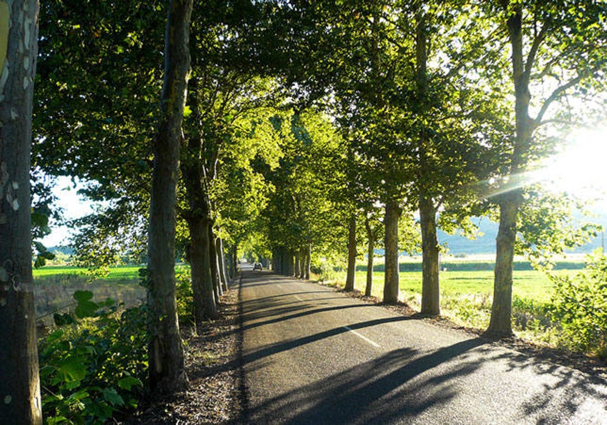 En verano las carreteras europeas aumentan el volumen de tráfico