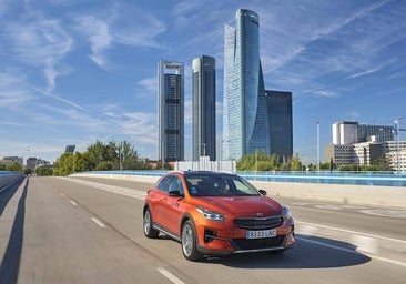 Wible espera finalizar este ejercicio con beneficios por primera vez en su historia