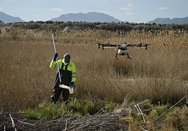 Trashumancia y rescate en accidentes, así se usarán los drones en el futuro