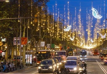 Cuidado con estos alimentos: pueden afectar a la capacidad de conducir