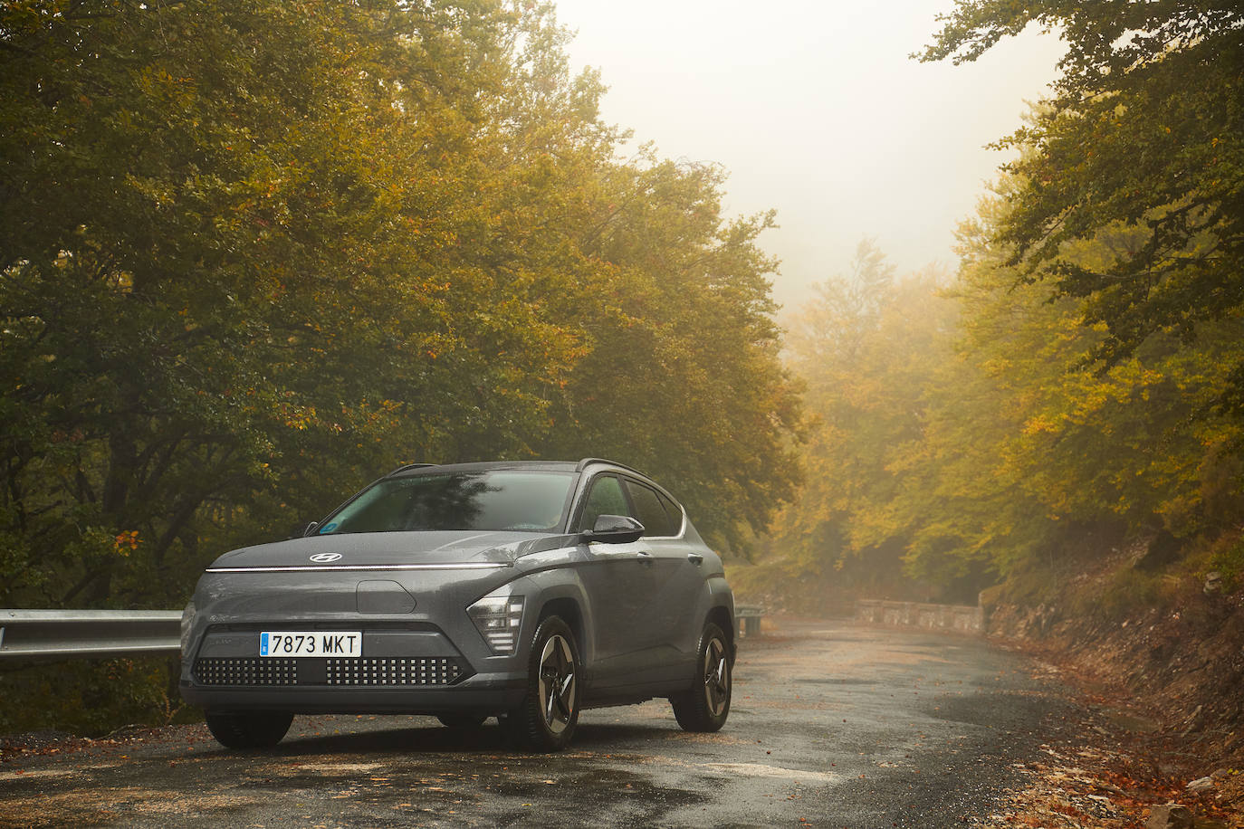 El Hyundai tiene un diseño más atrevido, más dinámico y orientado al vehículo eléctrico. 