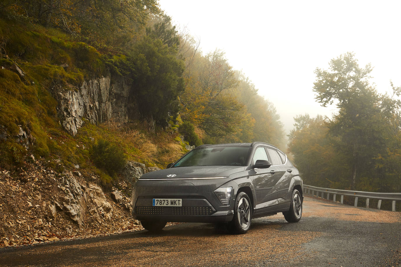 Por consumo, los de gasolina parten de 4,7 l/100 km, y los eléctricos de 5,5 kWh/100 km.