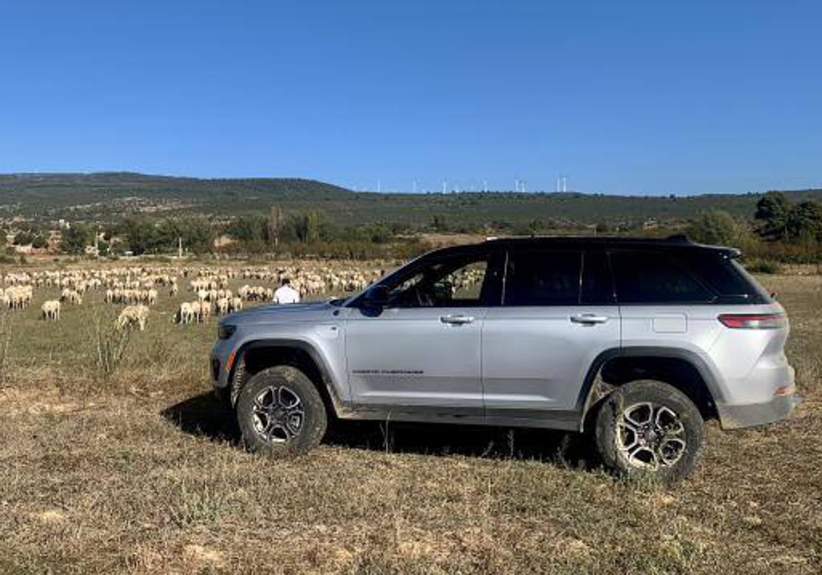 Jeep en ruta, con gran capacidad para salir del asfalto