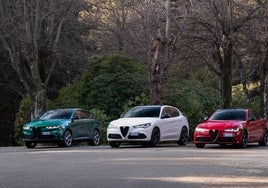 Tributo Italiano: edición especial para los Alfa Romeo Giulia y Stelvio