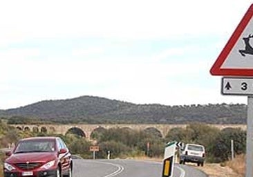 Balizas, resinas o vallados: Cómo podrían evitar los accidentes con animales con el coche