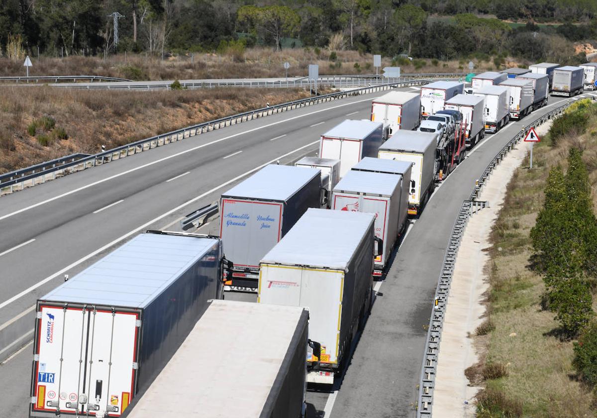 Sánchez permitirá que los camioneros marroquíes puedan conducir en España  sin necesidad de convalidar su carné