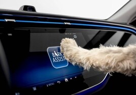 Mercedes-Benz prueba un asistente de voz virtual para perros