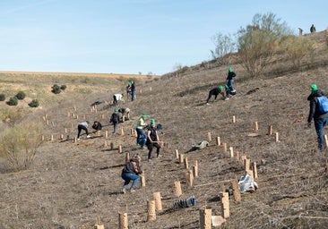 Plantan 200 árboles en un proyecto en colaboración con la Real Federación de Motociclismo Española