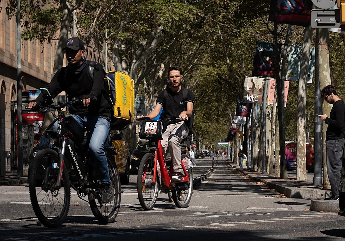 En 2024 destaca el aumento de venta de bicicletas de carretera