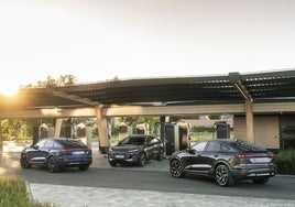 Audi Q6 Sportback e-tron: Musculoso, deportivo y muy amplio