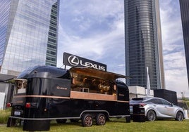 Falsa - publi - lexus