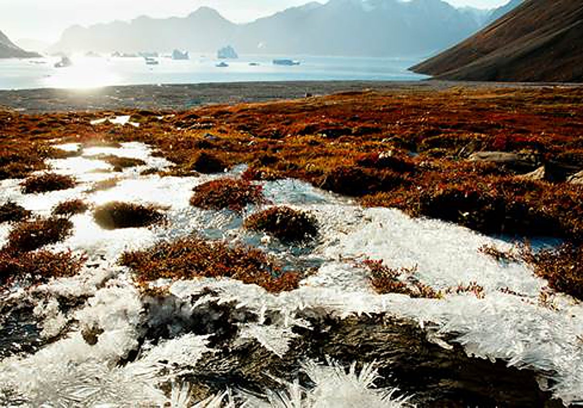 El carbono del suelo en zonas frías constituye un almacén muy vulnerable