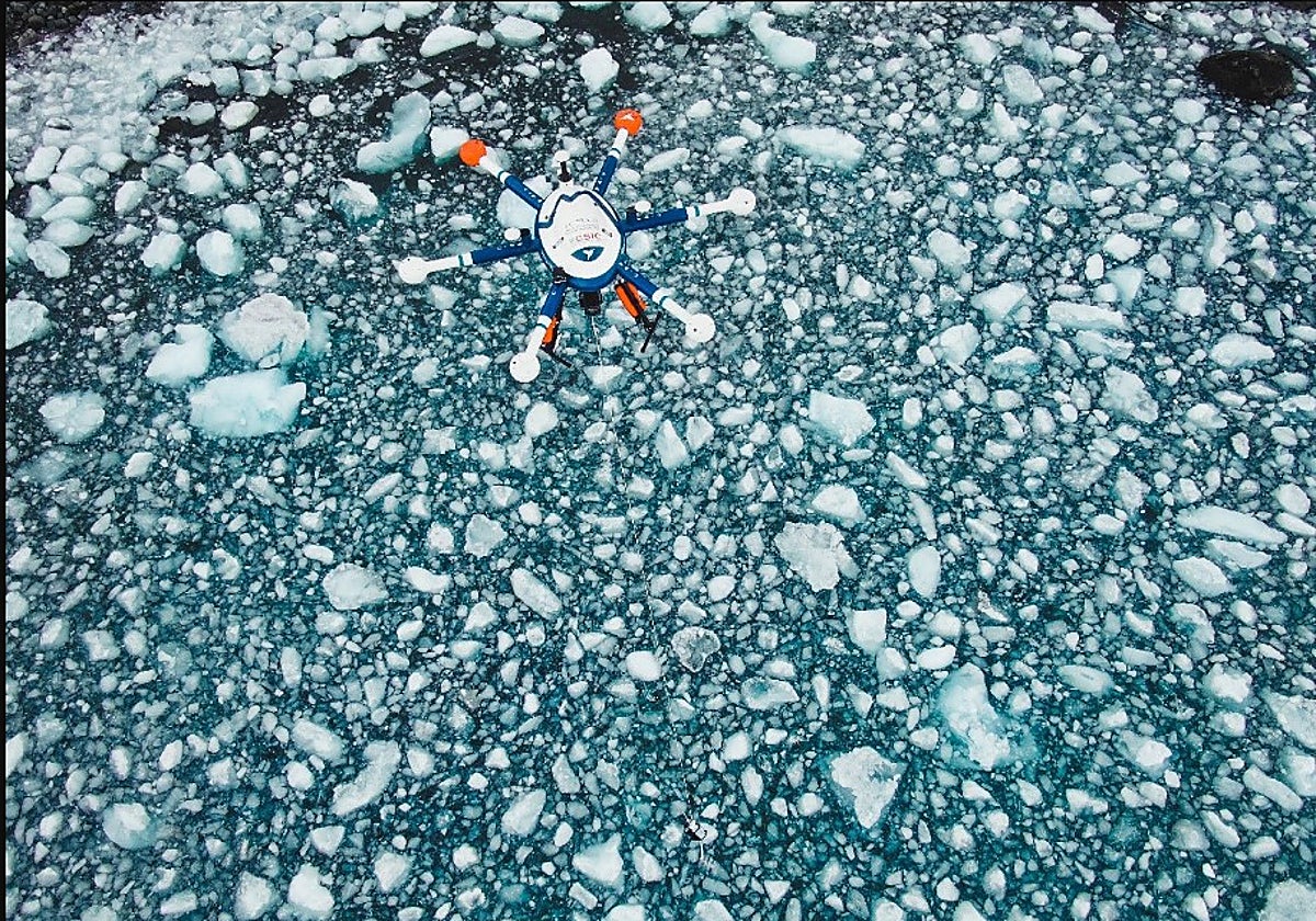 Imagen de un dron del grupo SeaDron, del ICMAN-CSIC, en la Antártida