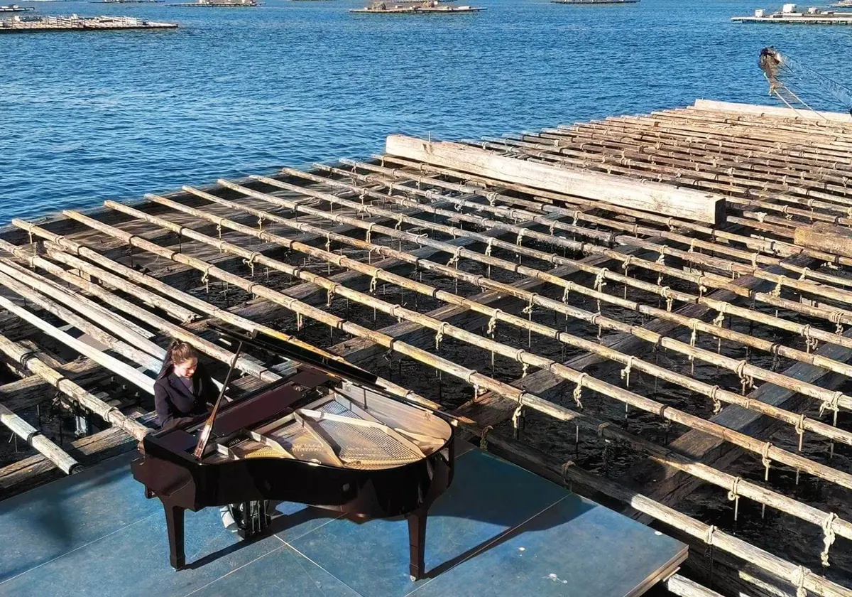 Música clásica, un piano de cola y una batea