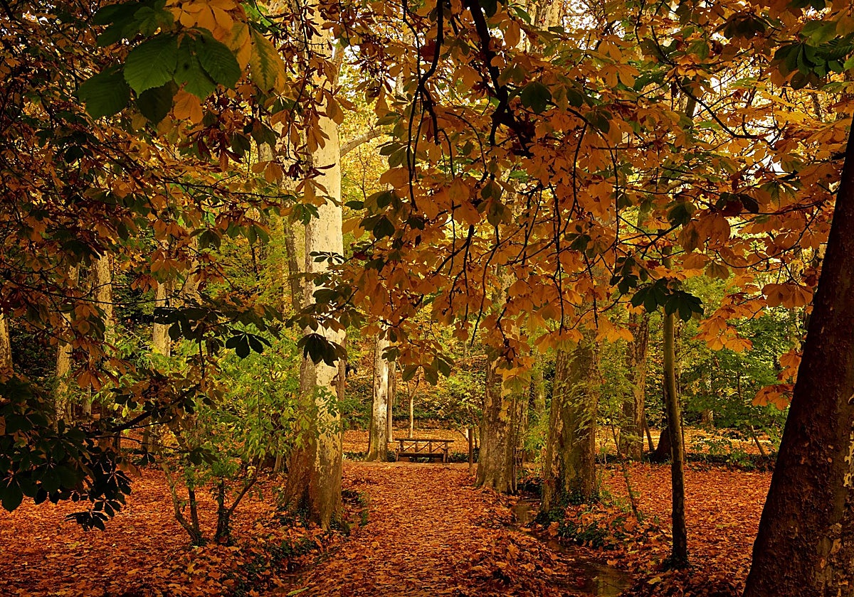 Otoño de música en el Monasterio de Piedra