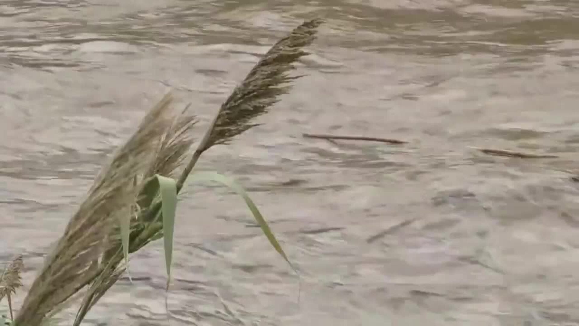 El río Besòs aumenta su caudal por las fuertes lluvias de las últimas horas en Cataluña