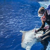 El Oceanogràfic de Valencia renueva la acreditación más exigente del mundo en bienestar animal