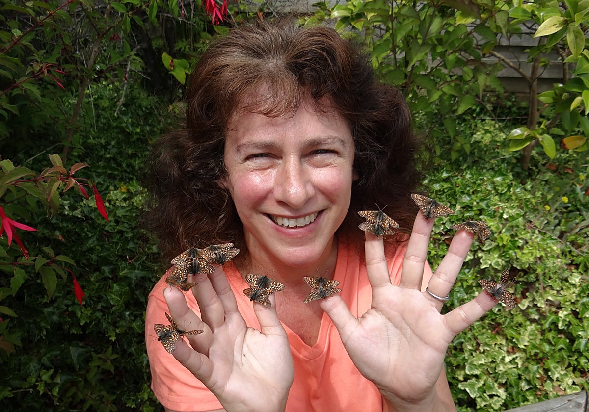 Esta investigadora inició su estudio con varias especies de mariposa en Estados Unidos y Europa