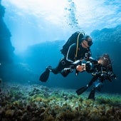 Investigadores del Oceanogràfic descubren una nueva especie de molusco en el Mediterráneo