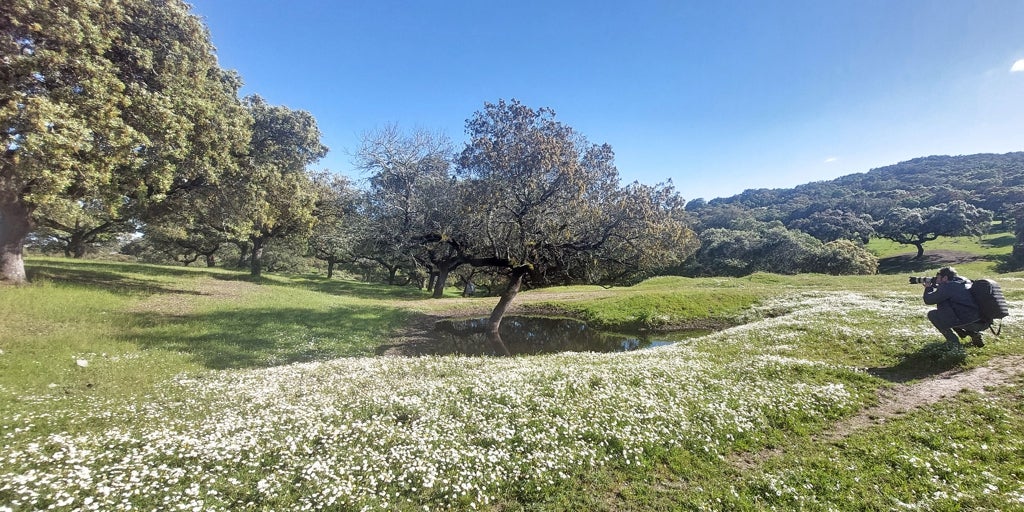 Medio ambiente único, calidad, sostenibilidad y arraigo rural