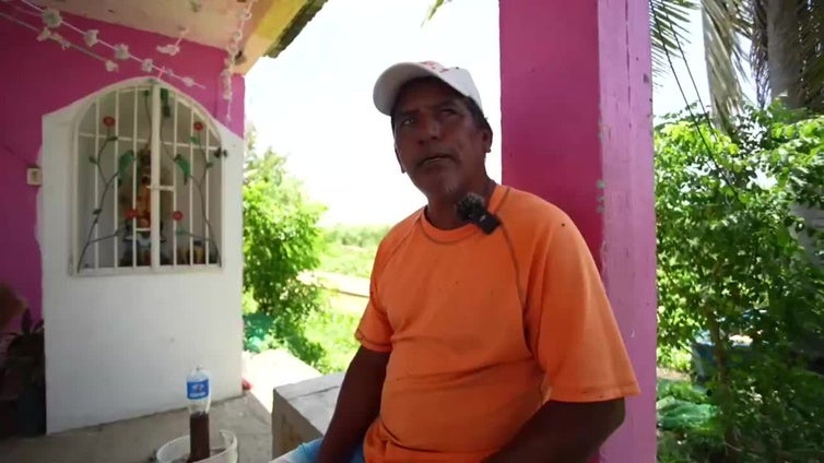 Pescadores de Acapulco pierden sustento por mortandad de especies acuáticas