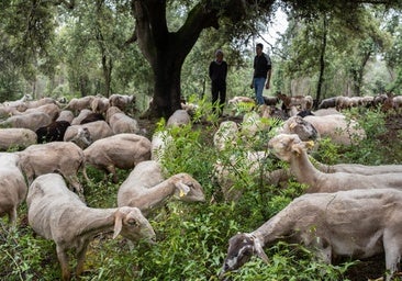 Abordar la despoblación y cambiar el modelo agroalimentario, clave en la prevención de incendios