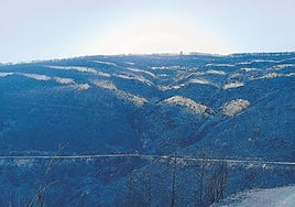 Extremadura ultima el primer Plan Forestal de su historia