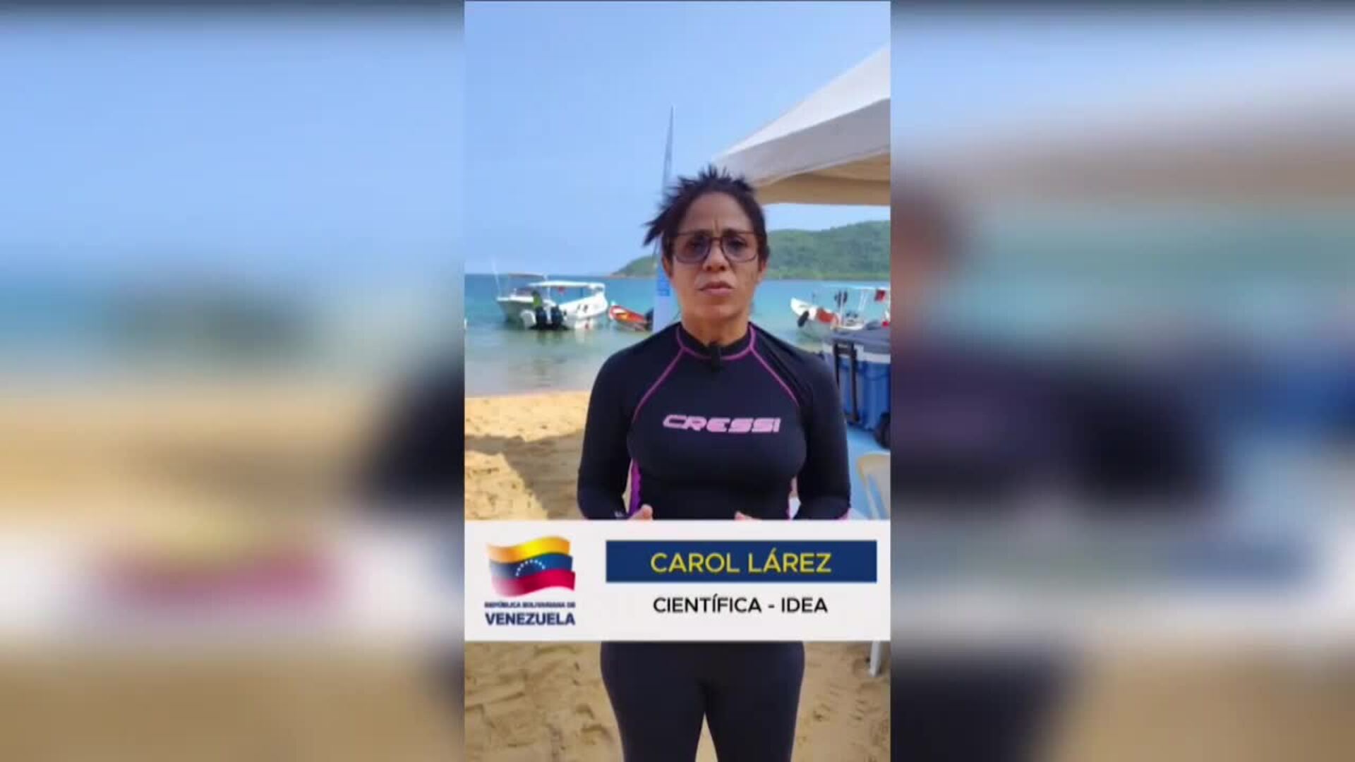 Científicos venezolanos identifican especies marinas afectadas por coral invasor