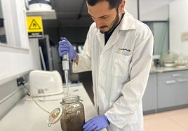 Microorganismos y virus para acelerar la biodegradación de bioplásticos