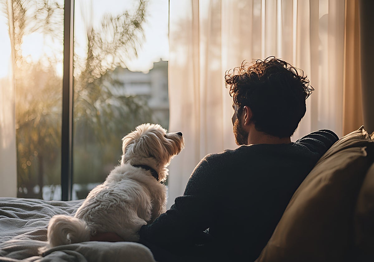 Convivir con un perro puede reducir los niveles de estrés, mejorar el estado de ánimo y favorecer hábitos más activos