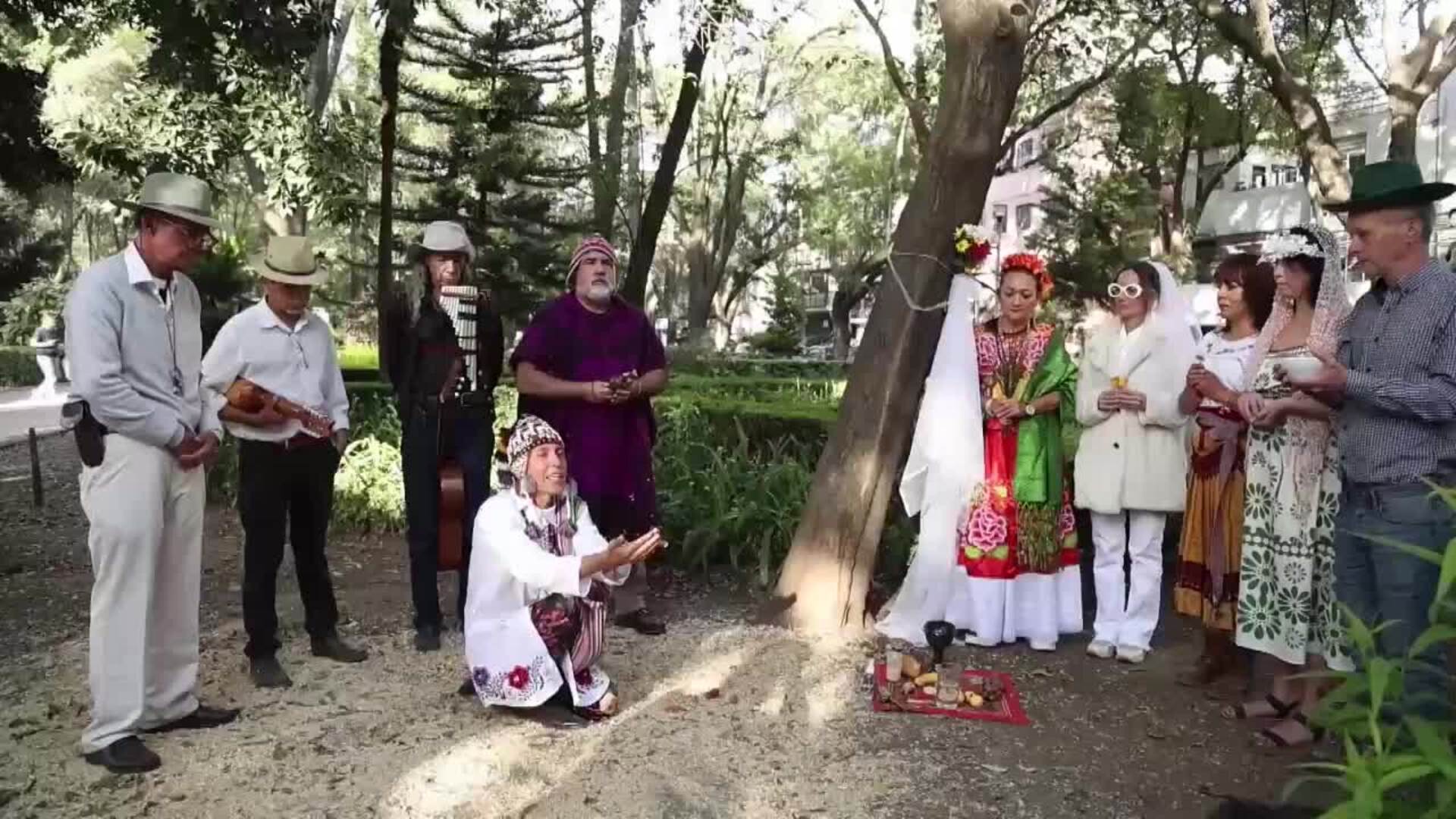 Una &quot;boda&quot; entre personas y árboles en México busca crear conciencia sobre la deforestación