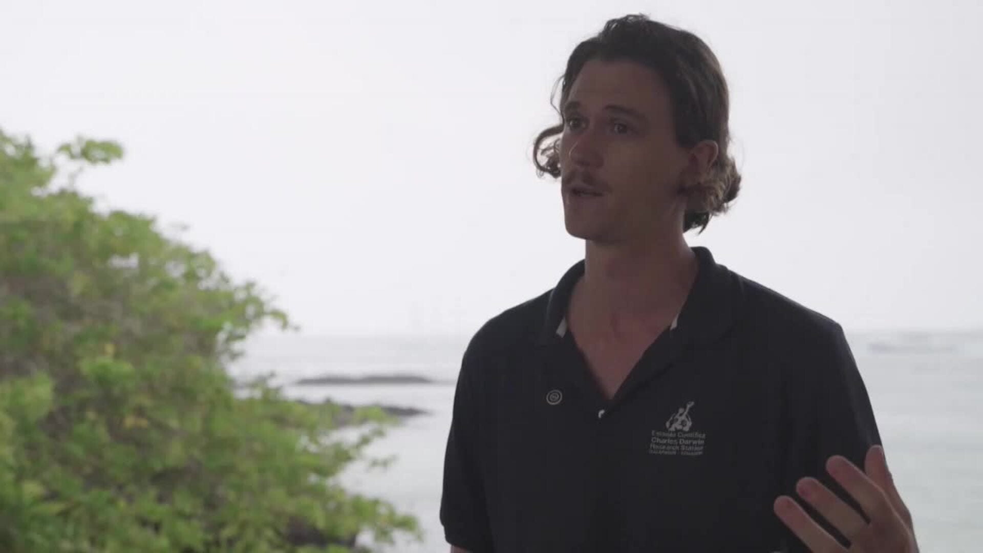 Áreas marinas protegidas del Pacífico: Últimos refugios frente a la sobrepesca