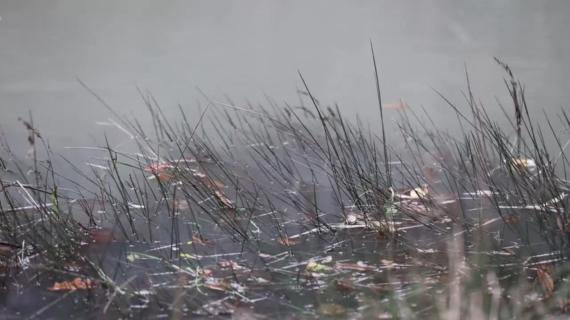 Pontedeume pide tranquilidad ante un episodio de turbidez en el río Eume