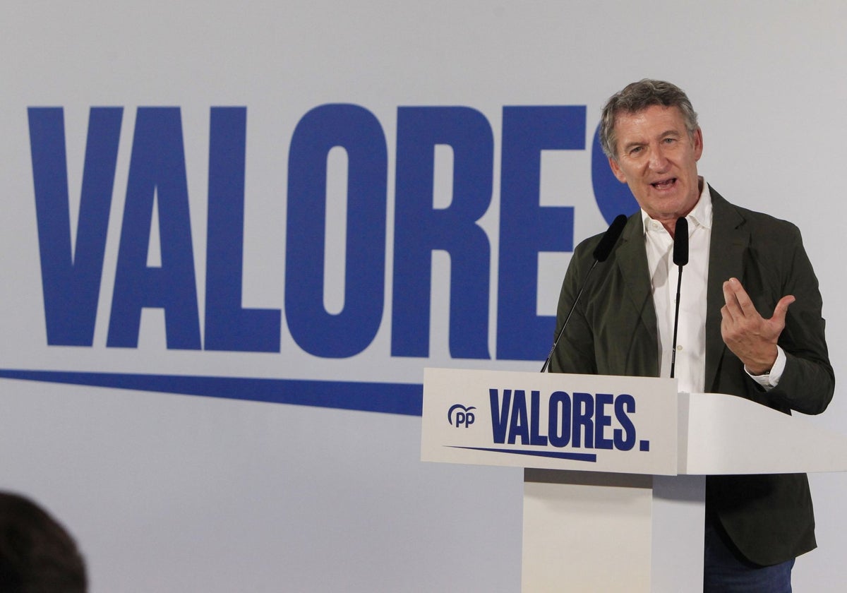 El líder del PP, Alberto Núñez Feijóo.
