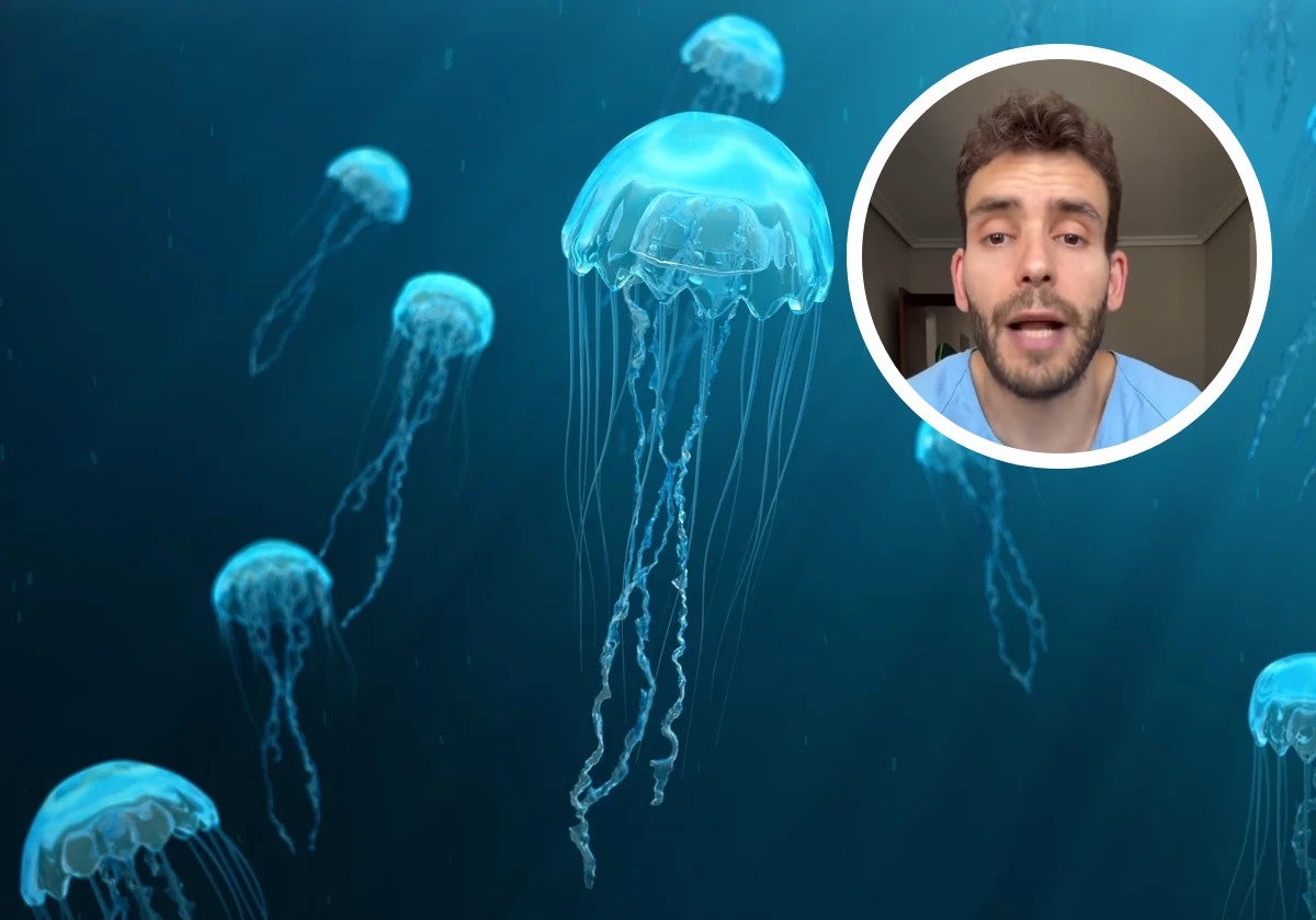 Un enfermero explica lo qué hacer cuando te pica una medusa: «Ni con orina ni con amoniaco»