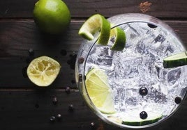 Un médico nutricionista pone fin al popular mito del gin-tonic como digestivo