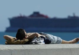 La médico Isabel Viña indica cuánto tiempo hay que exponerse al sol para obtener la Vitamina D que el cuerpo necesita