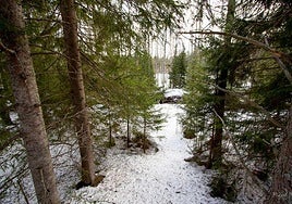 Una española enseña el precio exacto por el que ha comprado una casa en Suecia: «Es una cápsula del tiempo»