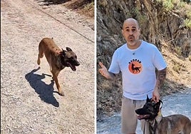 Un experto en conducta canina explica por qué no deberías soltar a tu perro en espacios compartidos «aunque no haga nada»