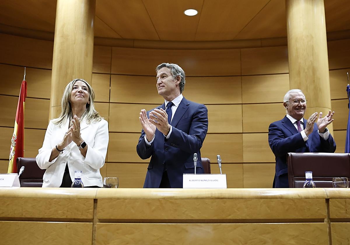Alberto Núñez Feijóo en el Senado