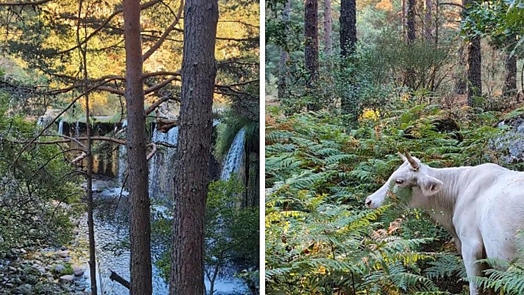 La ruta de senderismo a una hora de Madrid perfecta para el otoño: en plena sierra, con una cascada de agua y de poca dificultad